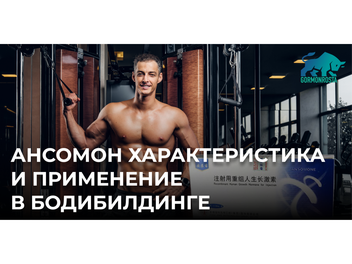 Ансомон характеристика и применение в бодибилдинге