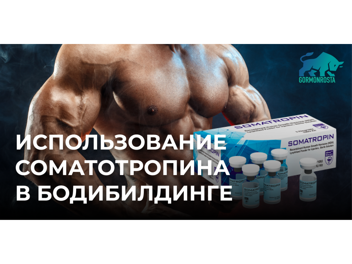 Использование соматотропина в бодибилдинге