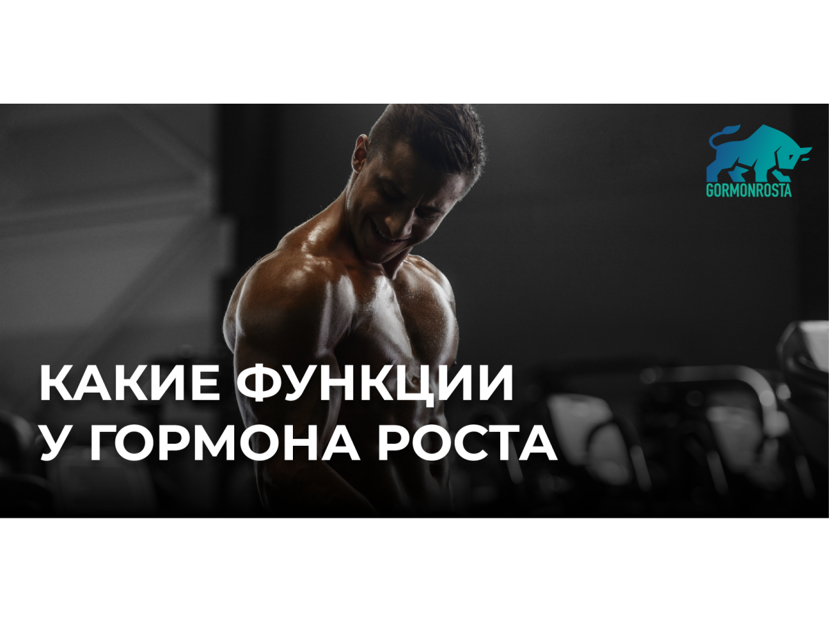 Какие функции у гормона роста