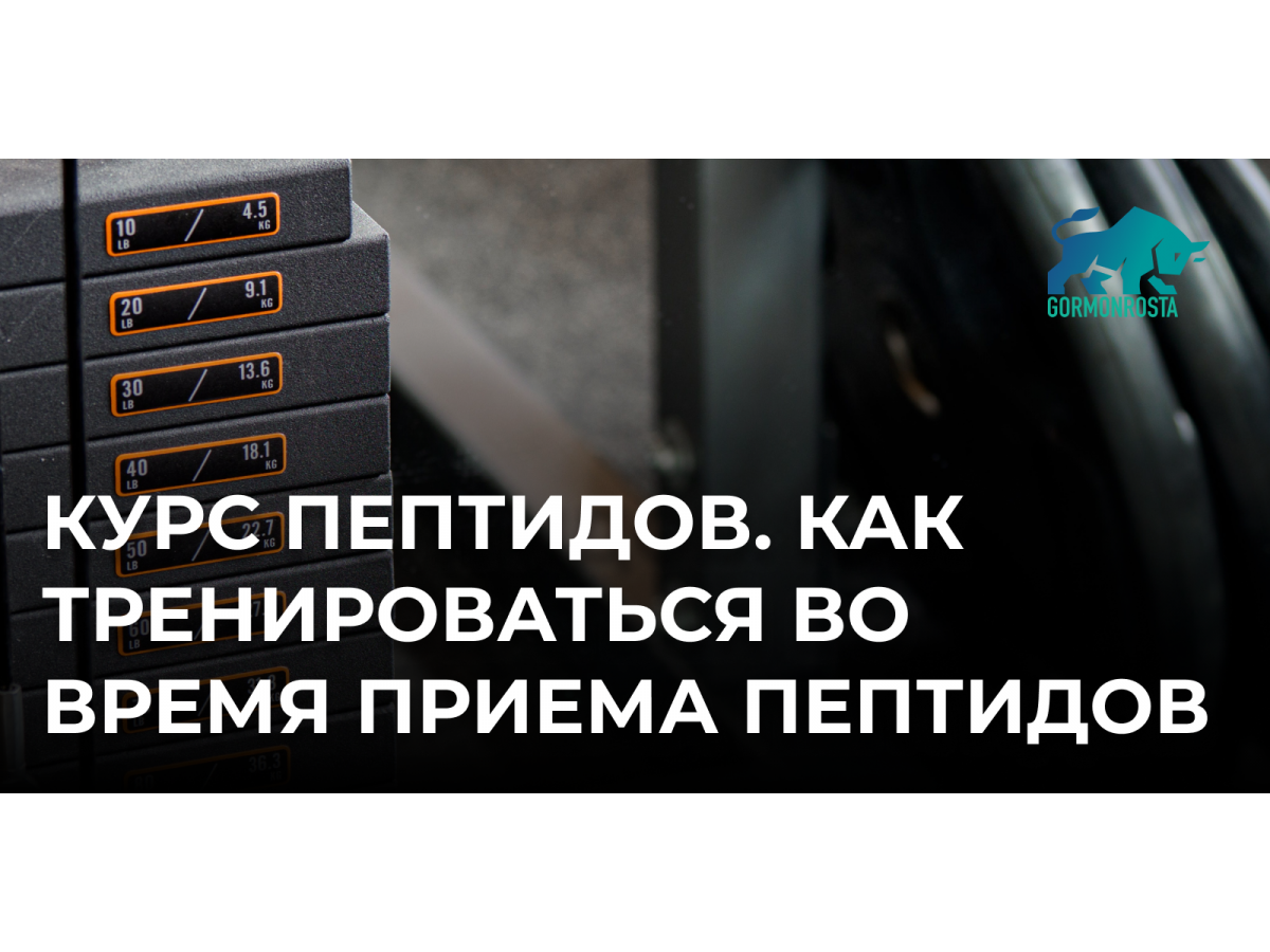 Курс пептидов. Как тренироваться во время приема пептидов