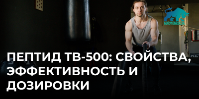 Пептид TB-500: свойства, эффективность и дозировки