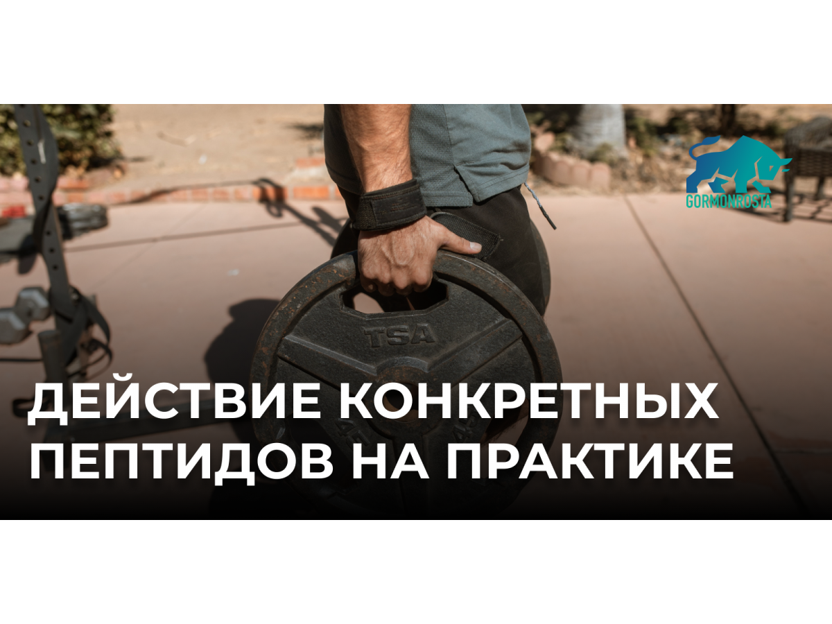 Действие конкретных пептидов на практике