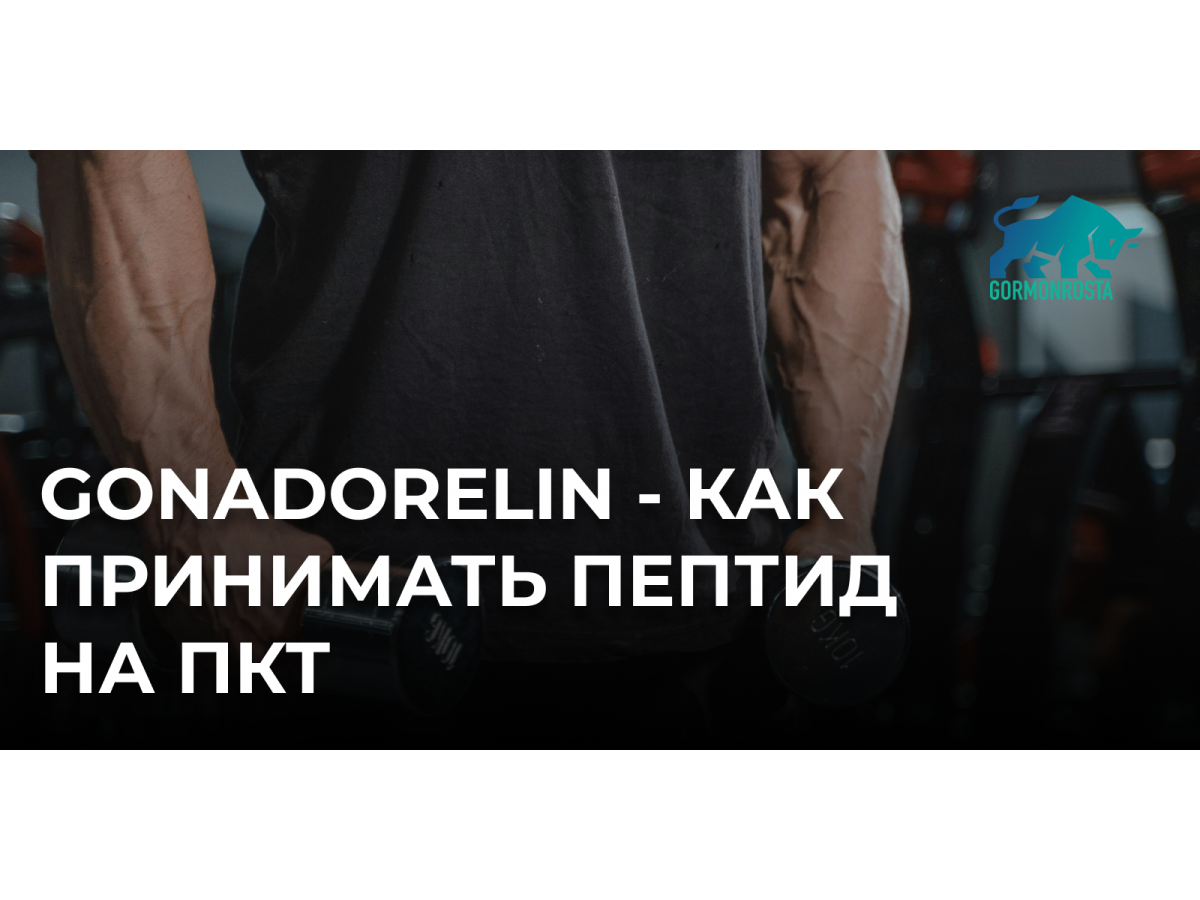 Gonadorelin - как принимать пептид на ПКТ
