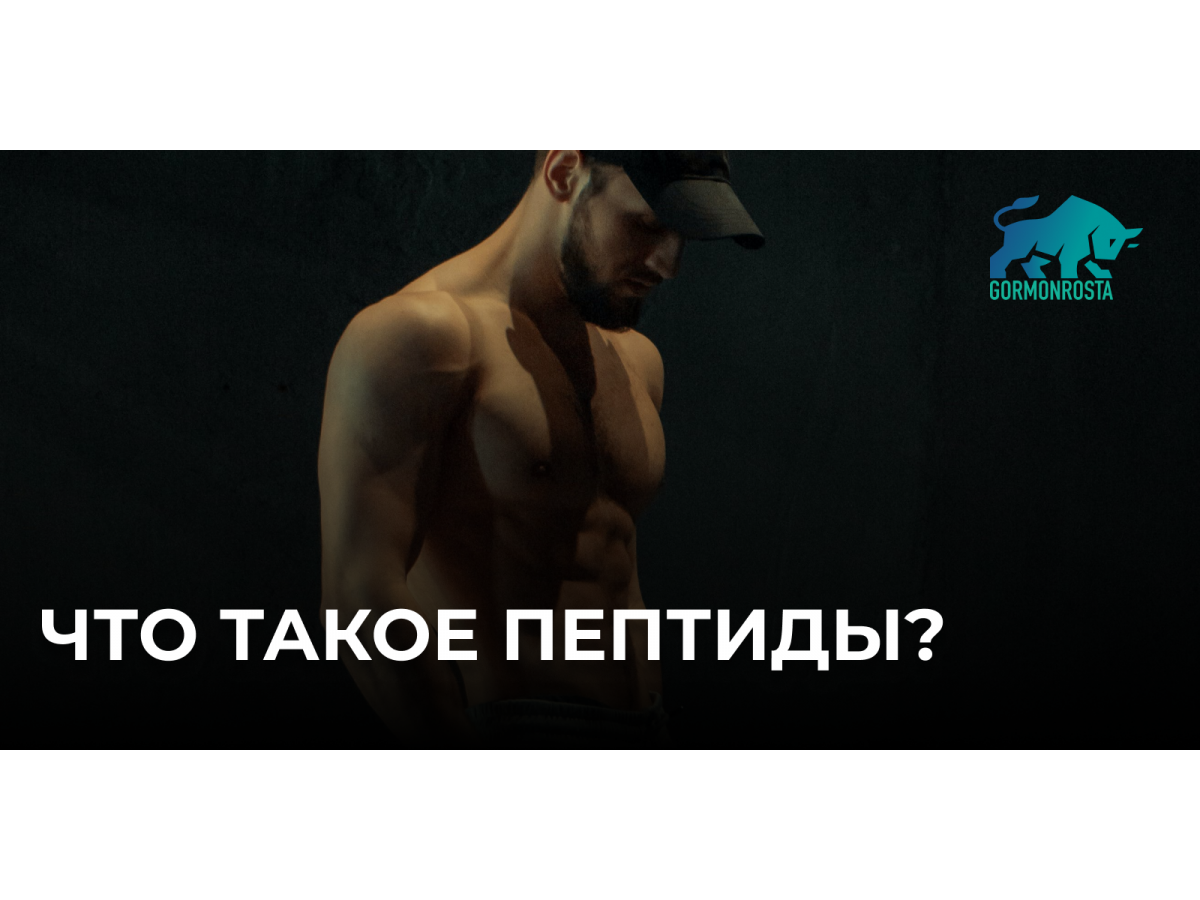 Что такое пептиды?