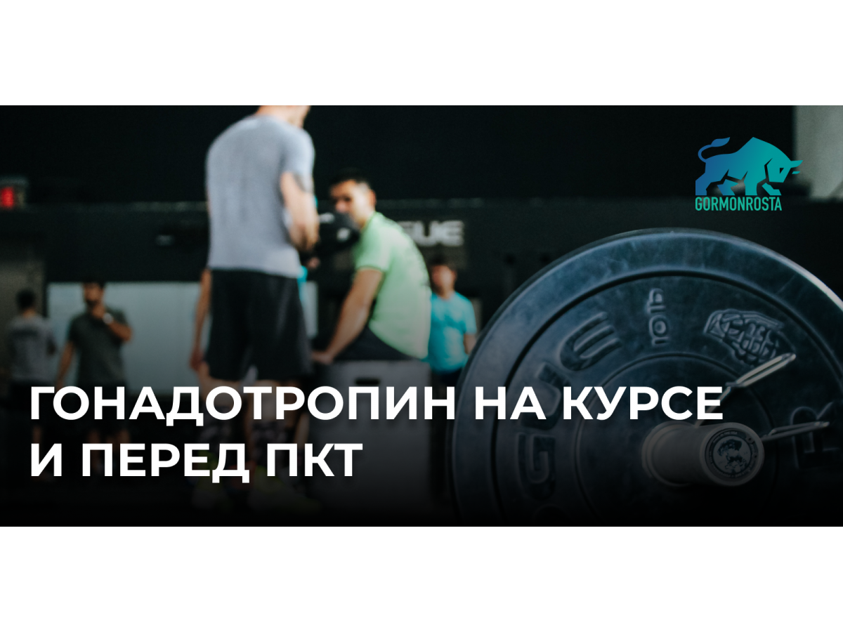 Гонадотропин на курсе и перед ПКТ