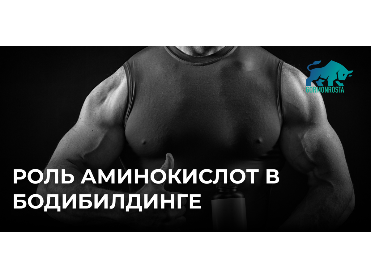 Роль аминокислот в бодибилдинге