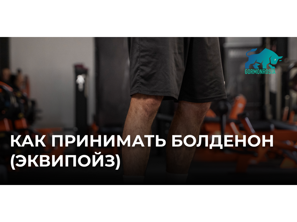 Как принимать Болденон (Эквипойз)
