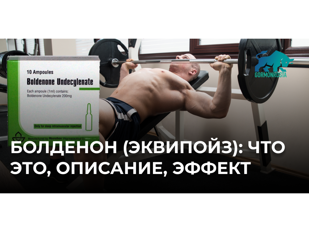 Болденон (эквипойз): что это, описание, эффект