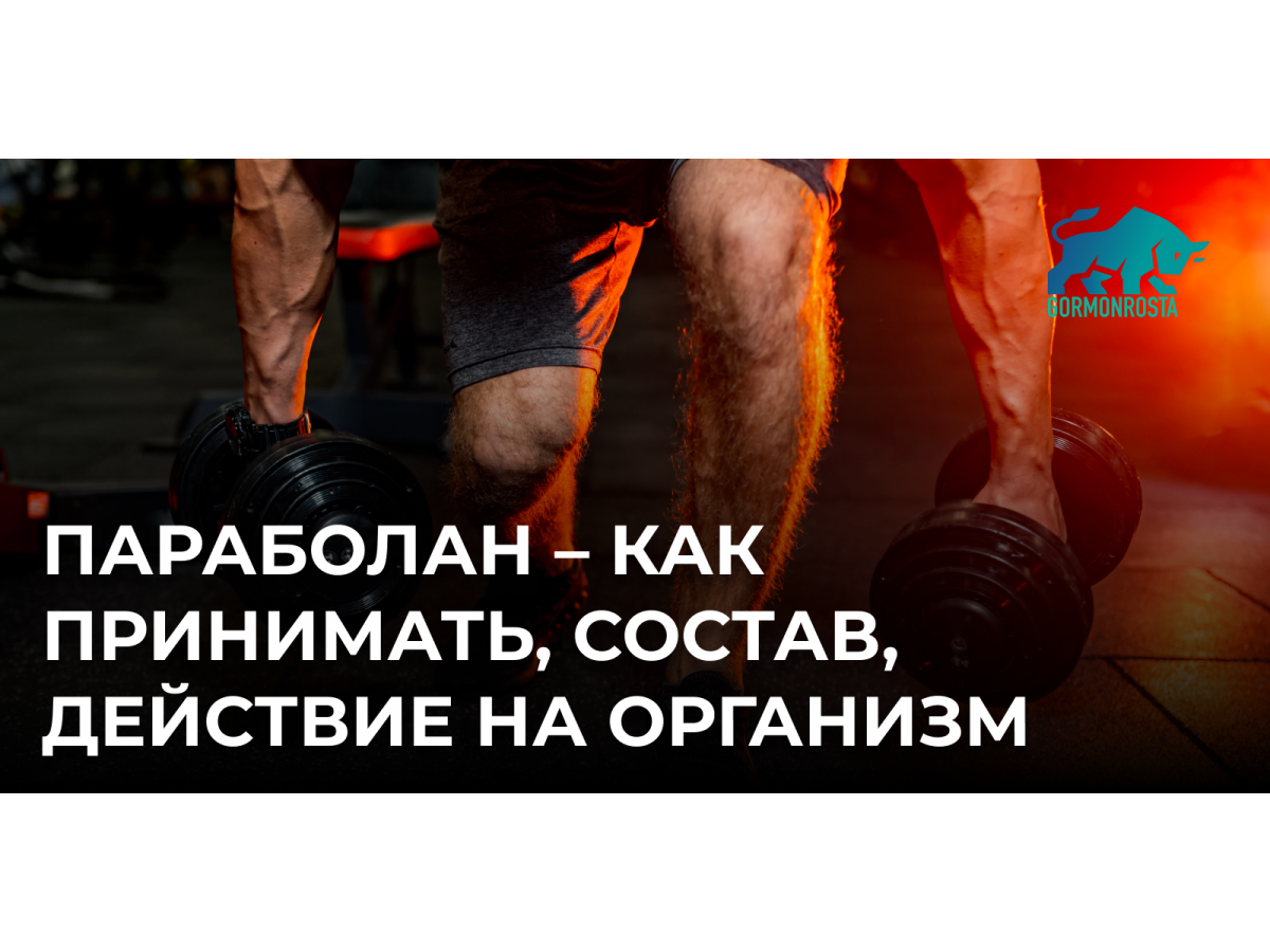 Параболан – как принимать, состав, действие на организм