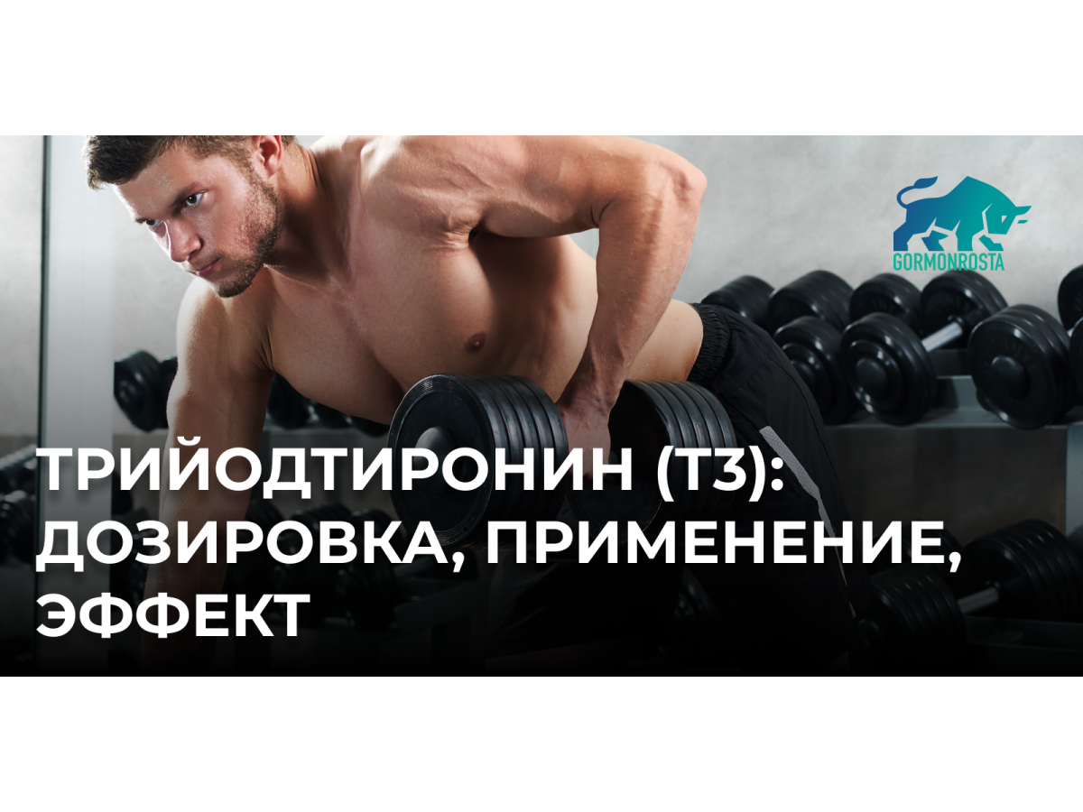 Трийодтиронин (Т3): дозировка, применение, эффект