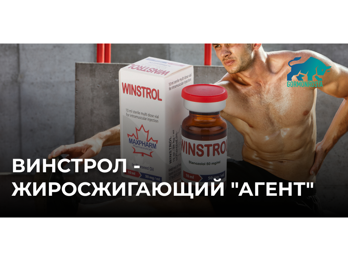 Винстрол - жиросжигающий "агент"