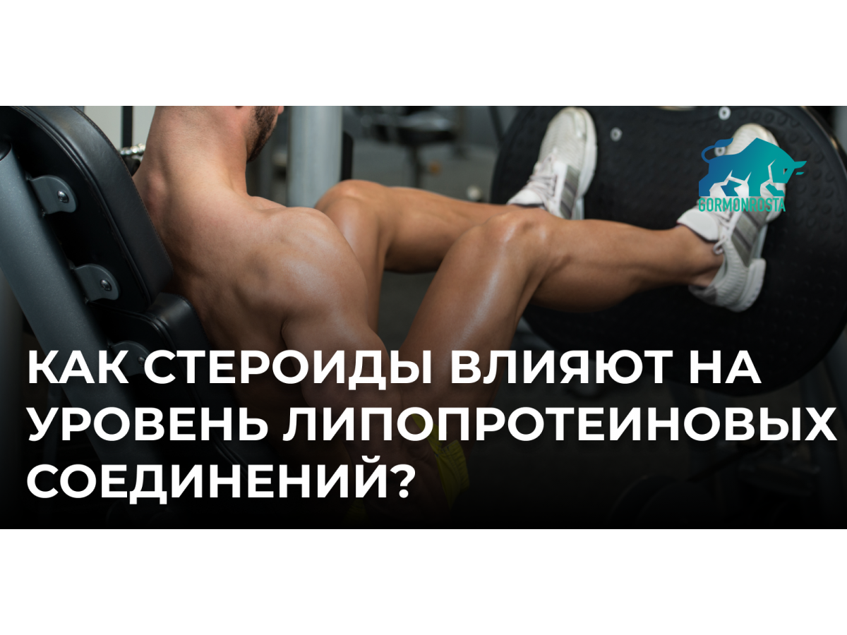 Как стероиды влияют на уровень липопротеиновых соединений?
