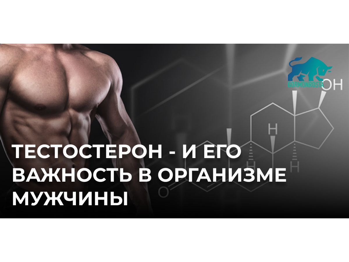 Тестостерон - и его важность в организме мужчины
