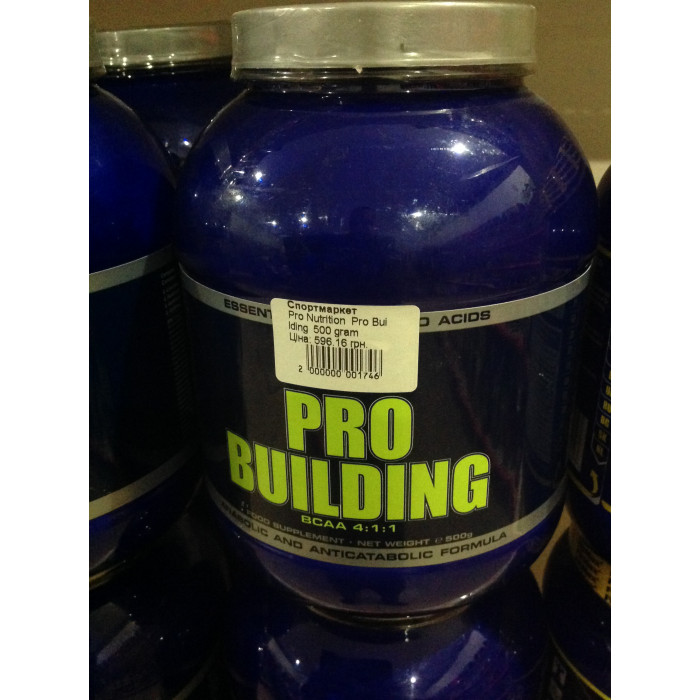 Pro Nutrition Pro Building (Про Билдинг) 500 gram