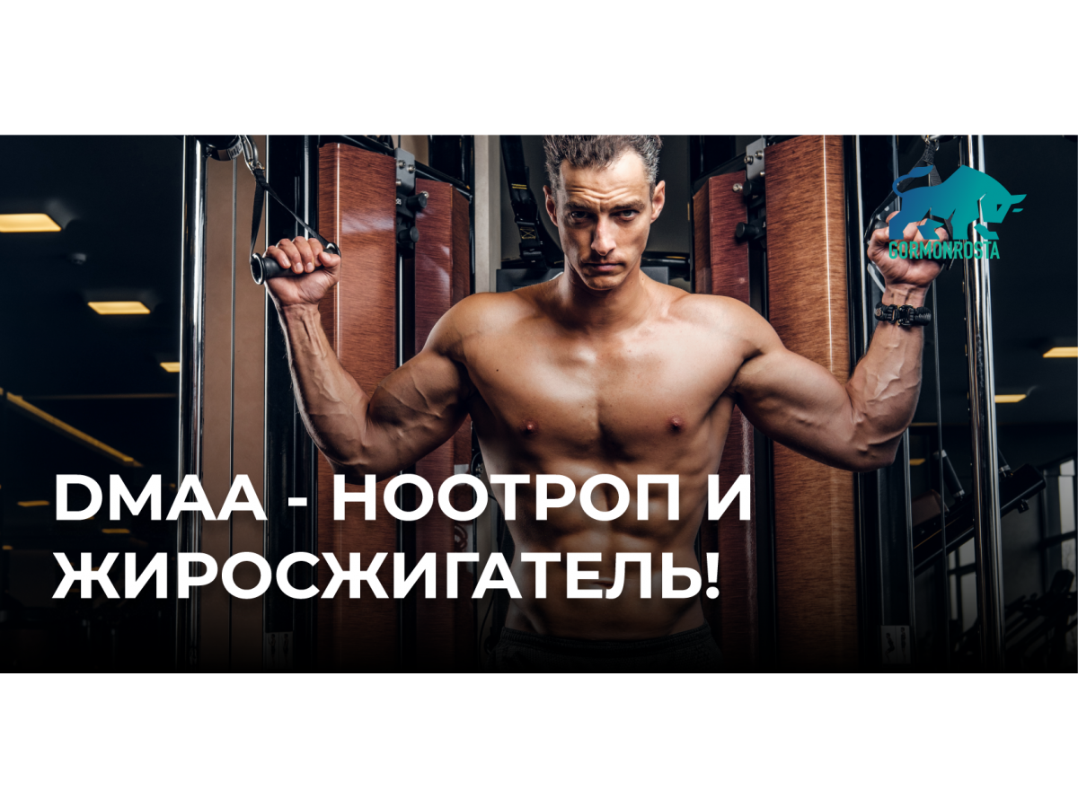 DMAA - ноотроп и жиросжигатель!