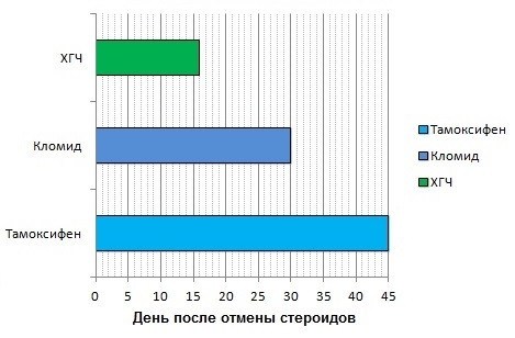 Первый курс